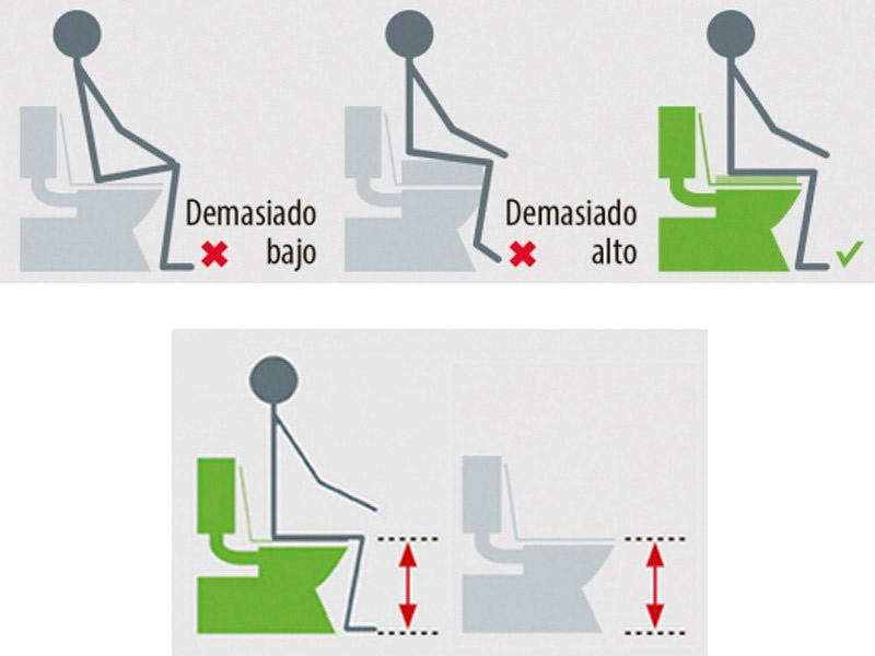 Elevador de WC Eco Guía para elegir la altura del elevador de WC