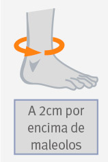 Tobillera elástica simple Medida tallas tobilleras