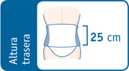 Faja sacrolumbar elástica Classic Tallas faja altura trasera