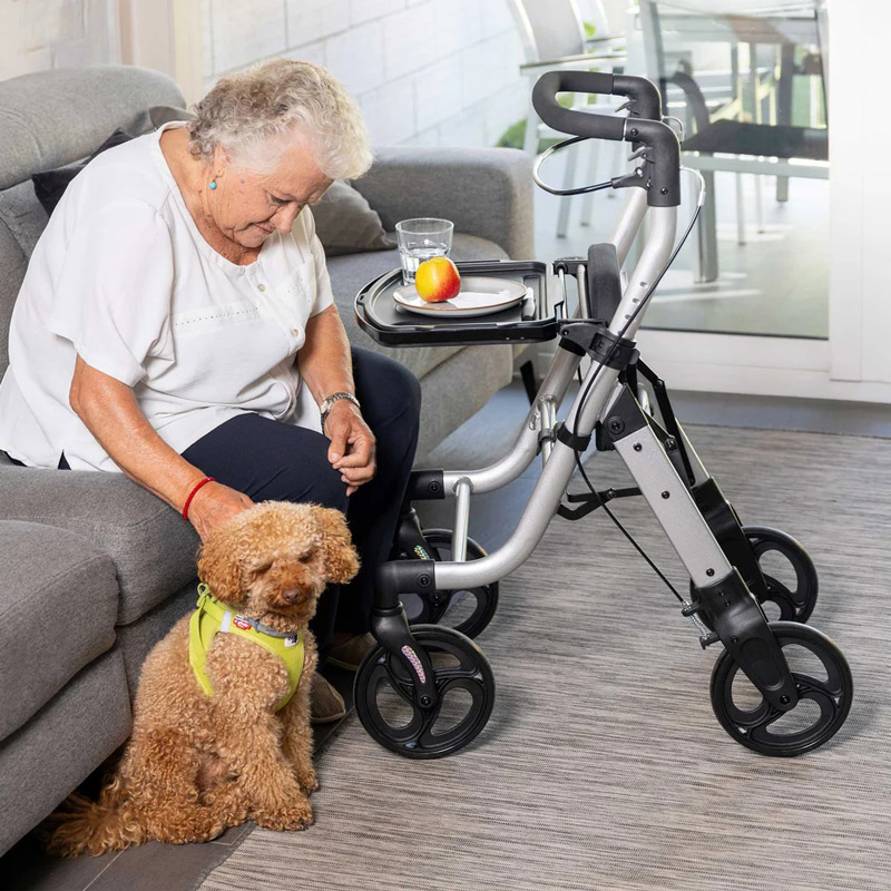 Andador rollator Lett Walk Andador rollator Lett Walk - Imagen 8
